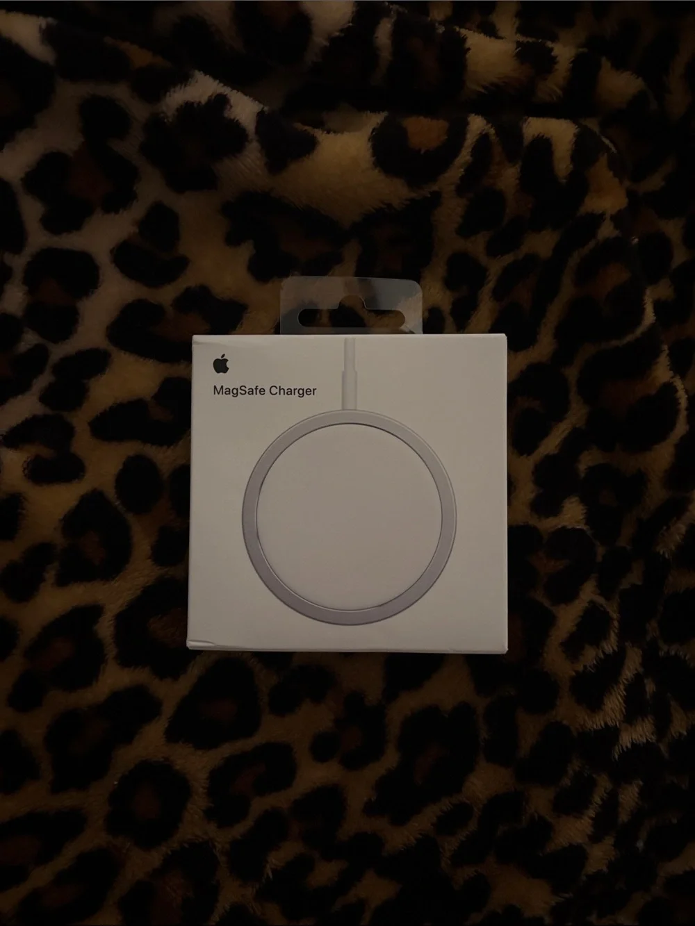 Apple MagSafe Charger - White and Silver Accents